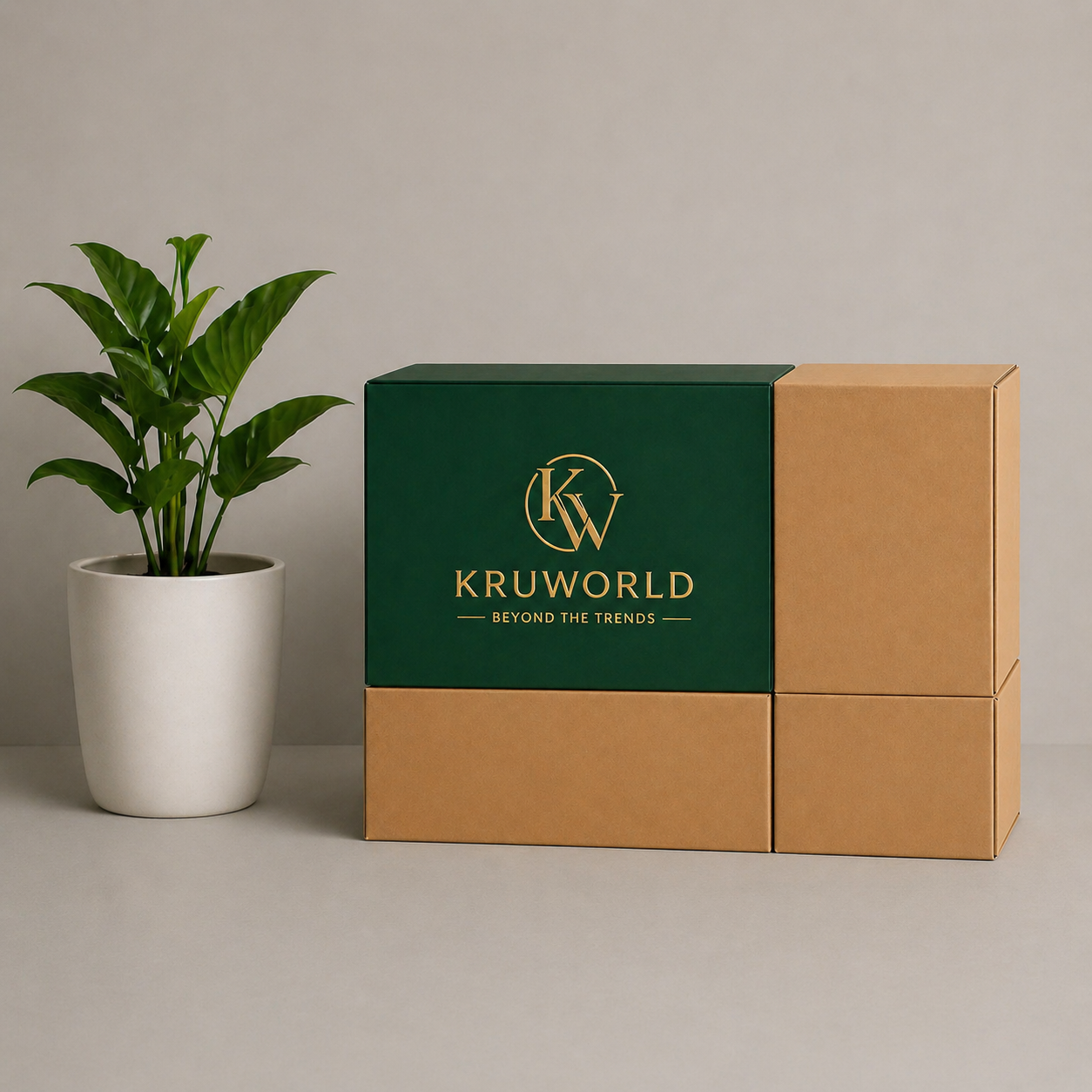 kruworld_delivery_box